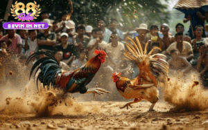 Các Hình Thức Đá Gà Tại 88vin